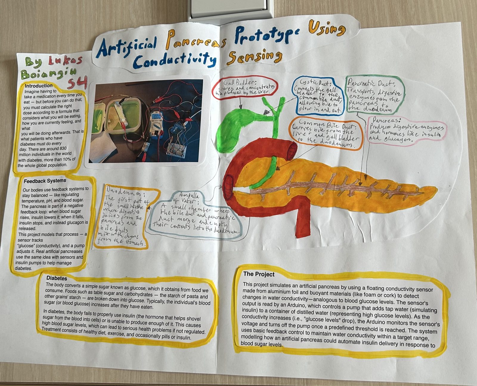 A hand-drawn student research poster from a Limitless passion project